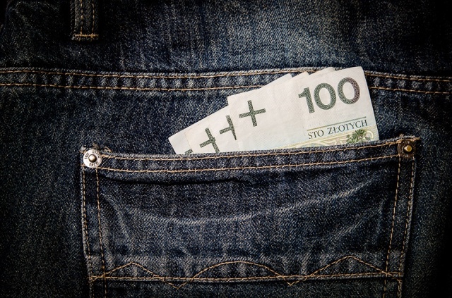 money-256282_960_720_111 Zasady bezpiecznego pożyczania w sieci