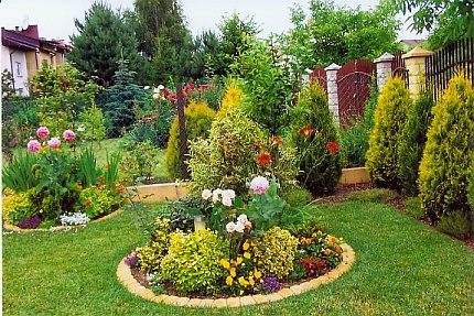 Modern-design-for-garden-short-trees-and-colorful-flowers
