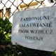 Spos�b na psi� kup�