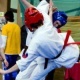 Oyama Karate zapisy na sezon 2010